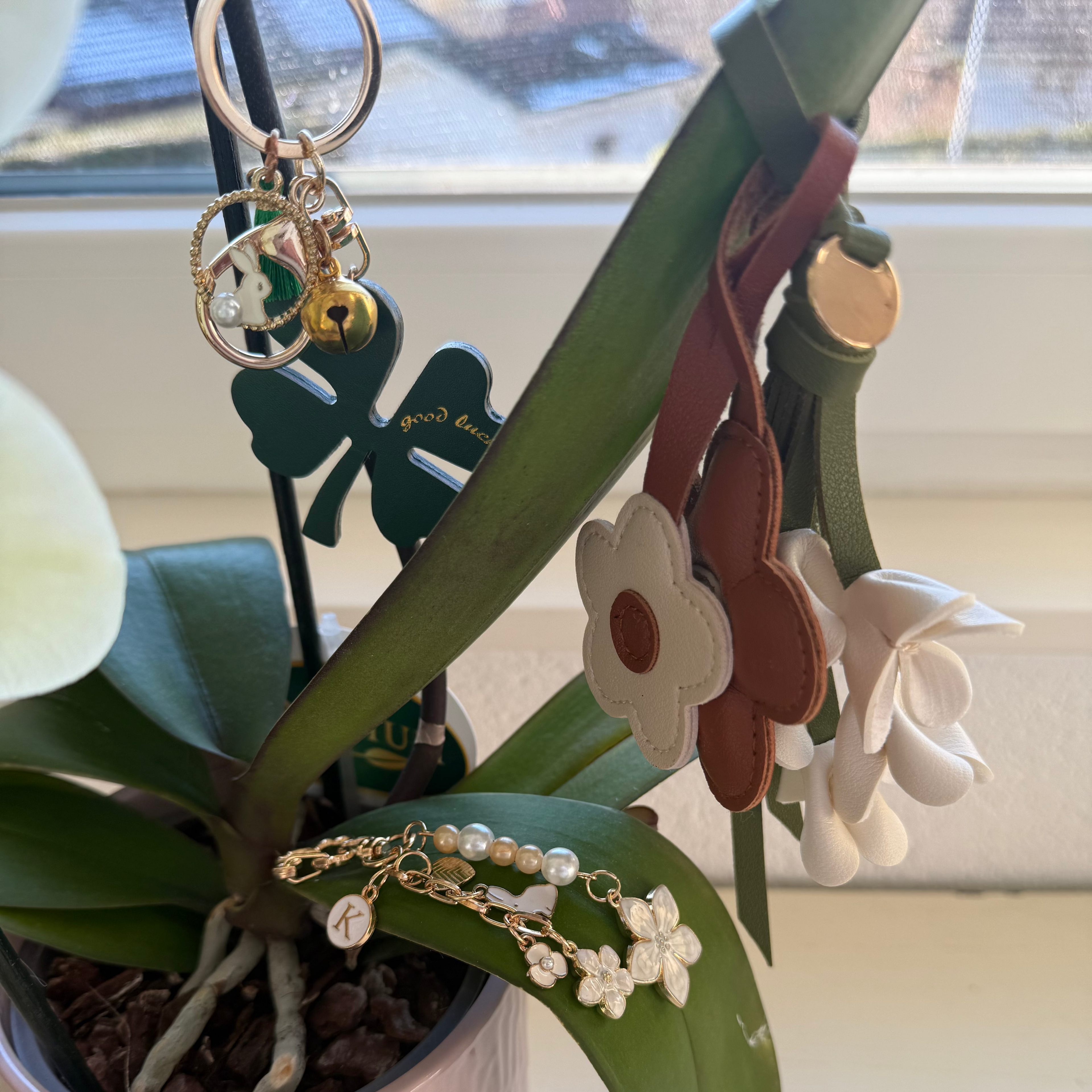 FLEURS 🌸🌹 Image